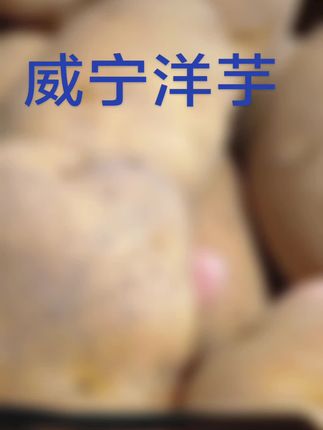 #威宁洋芋#优质农产品