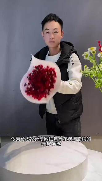 冬天家里也需要一抹绿!澳洲腊梅到手超简单,包邮哦~ 冬天想看花开?这款鲜花包邮到家!#好物推荐🔥 #年宵花 #水培植物 #腊梅 #蜡梅