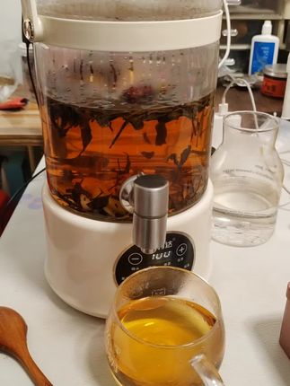 大容量养生壶烧水壶好多功能