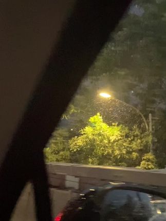 我们都不懂离别的重量 直到某天冷空气 裹挟着回忆涌起