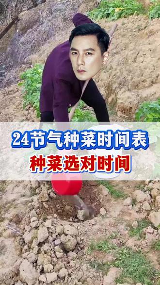 四季种菜不用愁,几月种啥全知道 #菜 #蔬菜 #种菜 #蔬菜种植 #新手种菜