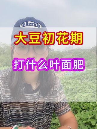大豆初花期,打什么叶面肥#大豆种植#大豆管理#大豆#大豆管理技术