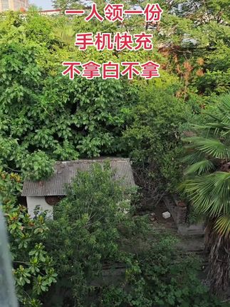 #福利来了#快充#数据线