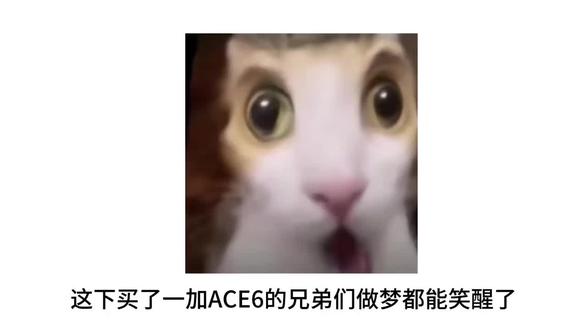 我们买一加ACE6的用户简直就是最聪明的一部分人 #一加 #一加Ace6 #手机 #拍机堂淘机