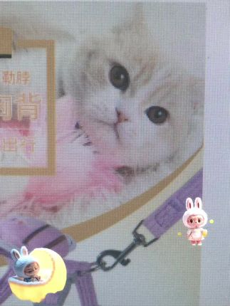 #日常互动