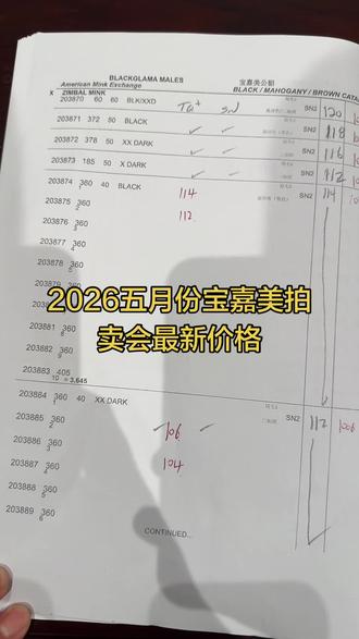 2026五月份宝嘉美拍卖会最新价格参考上个会微掉#貂皮#宝嘉美