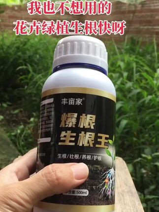 爆根生根剂移栽扦插强力壮苗生根剂绿植花卉盆景专用壮根促生根液