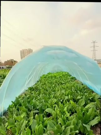 #拱棚支架 #种菜 #育苗 #生活好帮手