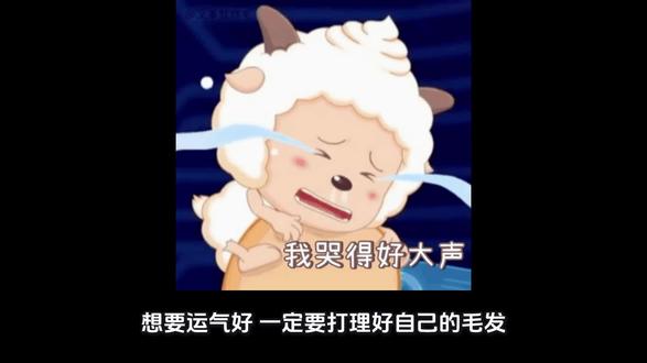 要定期打理毛发#国学文化 #国学智慧