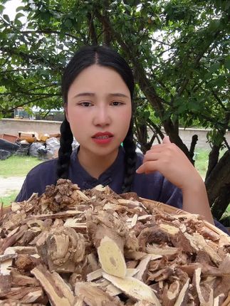 野生黄芪,补气养身的秘密武器! 西藏野生黄芪老跟头切片