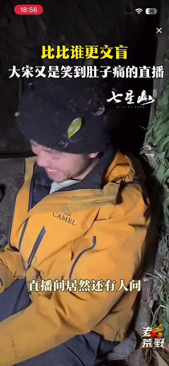 韦山,26个字母我只认识!KTV🔥