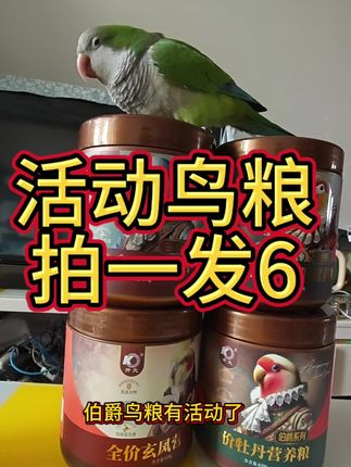 拍一发六的活动鸟粮 这就是我家鸟宝天天吃的主食,现在有活动,多拍多得,电解质就不用单买了,亲们赶紧安排上吧,别错过机会了。#好物分享#鹦鹉鸟粮#笨笨鹦鹉