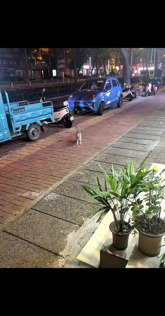 我滴小乖乖?
你是非要我陪你过六一么?
出去玩卡点现在才回来?
你放心!我不打你
我撕了你
