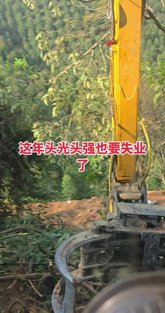 这年头挖机都上山自己敢树了,光头强也要失业了#挖机
