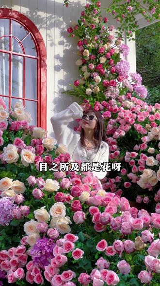 看完记得还我一张花,厦门现实版的莫奈花园就藏在天竺山#天竺山 #听溪花园 #厦门旅游攻略