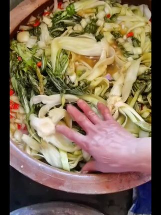 安徽高杆腌白菜#下饭菜 #分享家乡美食 #传统手工美食 #土特产 #地方特色美食