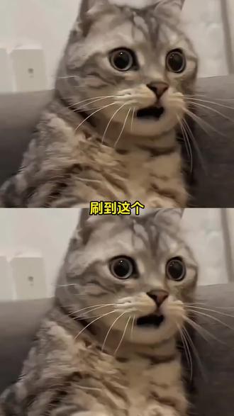 一个小小的发卡也能伤人于无形 #发夹 #消费者 #万万没想到 #发声