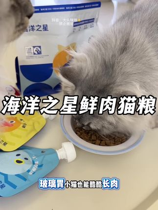 海洋之星这个试吃太合适了,关键是真的好吃!#烘焙猫粮 #海洋之星鲜肉烘焙粮 #猫粮推荐 #萌宠好物
