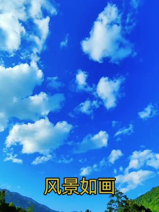 #好物推荐 #农村美食 #高山竹笋 #刺竹笋