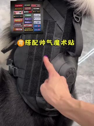 狗狗胸背带防爆冲战术马甲背心式牵引绳中大型犬可伸缩式#胸背 #狗狗胸背 #狗狗胸背带 #狗狗胸背牵引绳 #狗狗胸背推荐