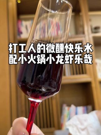 打工人的微醺快乐水#葡萄酒#红酒#干红#口粮酒 #红酒小知识