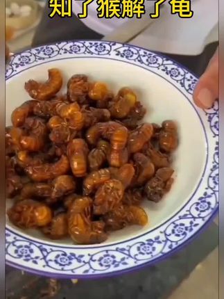 【大号油炸金蝉】椒盐五香知了猴多种口味下酒菜熟食爬叉即食唐僧肉 #下酒菜 #知了猴 #野生 #金蝉