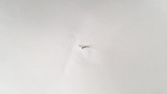 2026年省考公安必考考点!! 跟着牛哥学公安:法的解释
当法律撞上现实争议,谁来定标准?答案就一个:法的解释!#公安岗#省考公安#公安#公考#省考