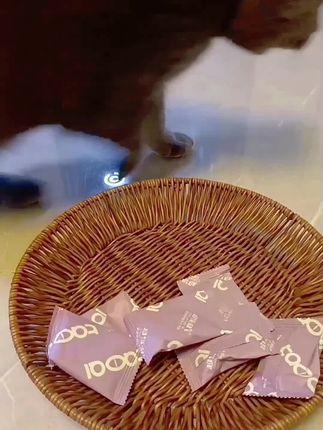 #宠物#泌尿小方砖护尿无忧 #超级淘气宠物零食 #猫咪泌尿呵护 #公猫尿闭预防,