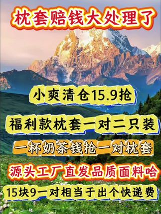 姐妹们你们赶紧去抢这个枕套啊!它现在是福利价格,特别合适!它这个面料摸起来软绵绵的,很舒服,一年四季都可以用,而且脏了可以直接机洗。关键是这个价格真的太划算了,你们赶紧去看看还有没有库存,有的话就赶紧拍两单,这么好的东西可别错过了!#家庭 #宝妈 #好物推荐🔥 #家纺床上用品 #家庭日常