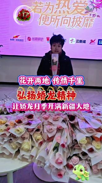 花开两地 传情千里, 弘扬娇龙精神,带娇龙月季回家,让娇龙月季开满新疆大地!感谢云南农科院#贺娇龙#缅怀#娇龙月季