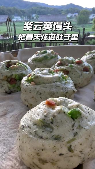 路边没人理的野草,我拿它蒸了一锅馒头,结果……#紫云英#我的乡村生活#自己做馒头#药膳馒头#手工