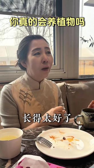 为什么你养不活植物#养植物