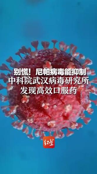 @DOU+小助手 尼怕病毒能抑制中科院武汉病毒研究所高效口服药45天潜伏期,至死率高最75%别慌!