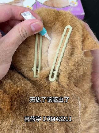 給宠物驱虫就用这种内外同驱的,简单方便又划算!#科学养宠攻略 #养猫新手 #萌宠好物 #宠物驱虫 #驱虫剂
