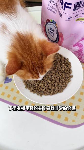 啊?你千万别觉得太牌猫粮就一定很贵,你现在看看麦富迪的霸弗美毛猫粮才什么价#萌宠好物 #猫粮推荐 #麦富迪 #美毛猫粮