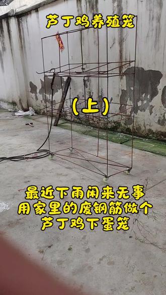 用家里的废钢筋做个芦丁鸡养殖笼#自制鸡笼 #芦丁鸡笼子
