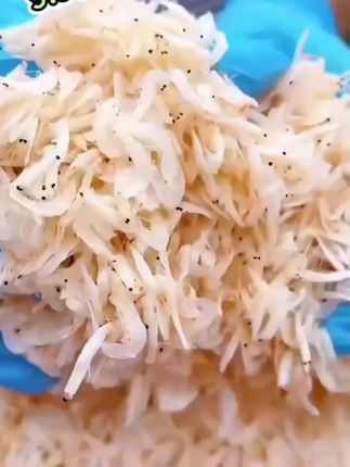 淡干虾皮虾米,精选大虾皮新鲜干净煮汤馄饨提鲜必备 #虾皮#虾米 #海鲜干货#淡干虾皮