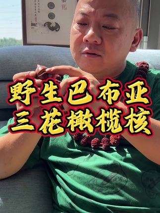 三花橄榄核,巴布亚纯野生手球 #文玩核桃 #文玩爱好者 #文玩人 #万物皆可盘 #橄榄核