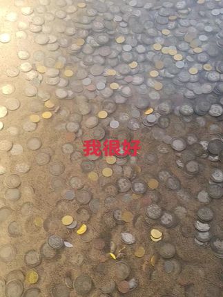 #今日分享 #闪闪发光 我很好