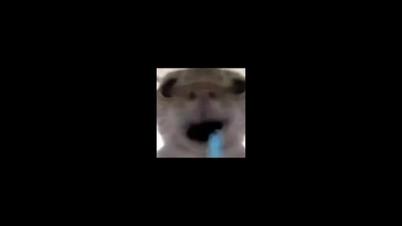 0 粉就能赚!中视频是什么?流量分成完整教程,发视频就有钱 #中视频伙伴计划 #自媒体流量收益 #新手自媒体赚钱 #短视频副业 #自媒体干货