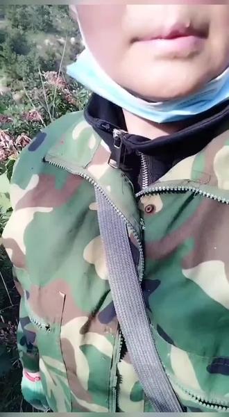 臭梧桐,祛风除湿,平肝降压,解毒杀虫