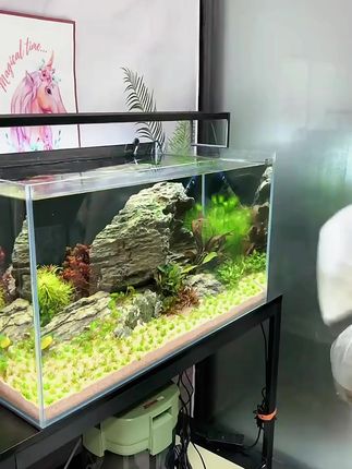 ATMAN创星CFS过滤桶水族过滤器UV杀菌灯过滤水循环水泵过滤箱鱼缸#过滤桶水族过滤器 #UV杀菌灯过滤 #水泵过滤箱鱼缸