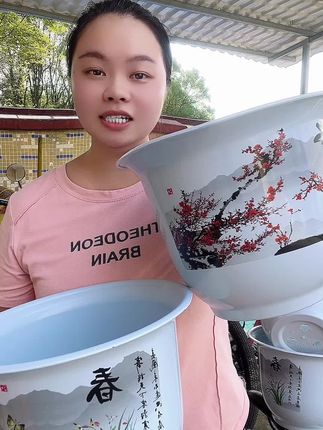 #透气花盆 #花盆 #盆栽