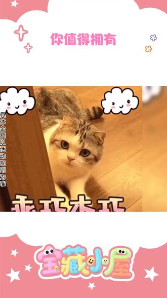 畅听无阻,想听什么都可以! ##番茄畅听#海量音乐免费听 #免费 #省钱 #听歌