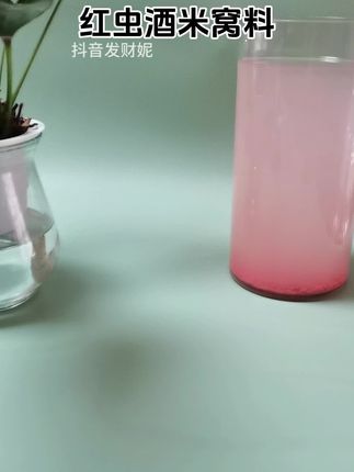 #红虫酒米窝料 #爆护窝料 #超便宜超划算