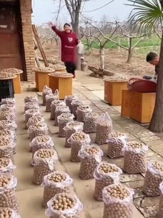 又到了吃桂圆干的时节,软糯香甜的口感让人根本停不下来,这都是来自福建莆田的老树桂圆,颗颗圆润,壳薄肉厚#桂圆干