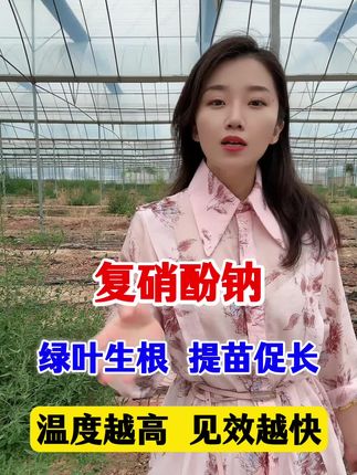#农业主播周玲 #复硝酚钠 #植物生长调节剂 一喷绿叶快速起效,种植必备调节剂,小黄车下单有优惠