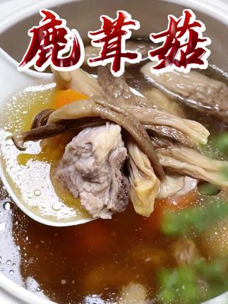 夏天孩子不爱吃饭,可以看看咱们家高山#鹿茸菇 真的#强烈推荐 !好好吃,孩子都爱吃#快来一起尝个鲜 吧~#美食推荐 #菌子的季节