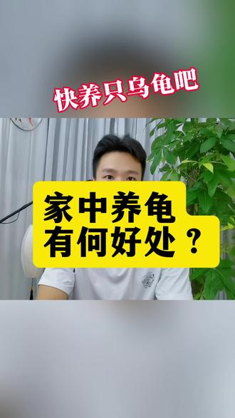 乌龟长寿的秘诀是什么?做到这3点,你也可以#健康