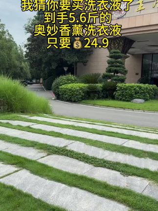 快快快,赶紧来薅奥妙洗衣液的大羊毛啊!这么大一袋,你们看看才多少钱?它还是大师香氛系列的,味道真的很好闻,而且持久留香,护衣护色,洗完的衣服又香又软,超干净!
